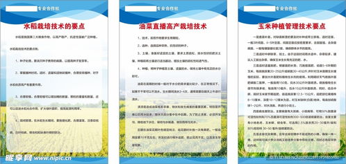 農(nóng)作物栽培管理技術(shù)設計圖及其在農(nóng)業(yè)技術(shù)研究中的應用