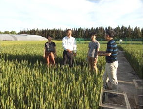 中日低碳農業技術研討會在我院生態所低碳農業中心成功召開