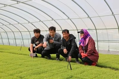 科技助農(nóng)促增收——新興鎮(zhèn)農(nóng)業(yè)技術(shù)人員下鄉(xiāng)指導(dǎo)紀(jì)實(shí)