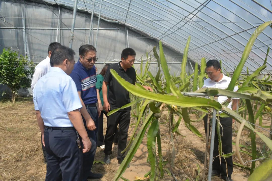 科技賦能巾幗力，助農(nóng)興農(nóng)譜新篇——山東濱州市巾幗科技助農(nóng)興農(nóng)直通車走進(jìn)陽(yáng)信