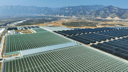 科技賦能，產(chǎn)業(yè)升級(jí) 山西陽(yáng)曲農(nóng)業(yè)產(chǎn)業(yè)化的創(chuàng)新實(shí)踐