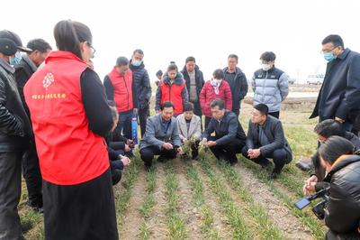 科普惠農進田間，科技賦能助增收——濟寧市農科院開展農技專題培訓