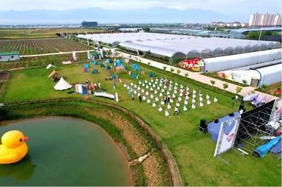 田間課堂展新風——第30屆楊凌農高會續辦農業技術田間推廣展